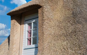 Thornhill Edge thatch roof disadvantages